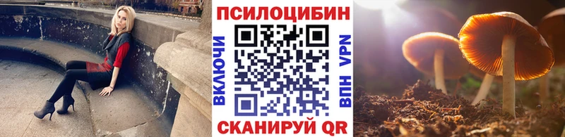 закладка  Спасск-Рязанский  МЕГА   Галлюциногенные грибы мухоморы 